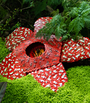 东莞托福阅读培训