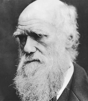 东莞托福阅读培训